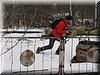 img_6089.jpg